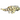 Big Band Tiger Pleco L140, Tree striped pleco fish, Pet City