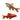 Cherry Barb, Male & Female cherry barbs, Pet City