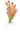 Red Pinetree (Rotala Wallichii) photo, Pet City warehosue