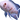 Oscar live fish, Live fish for sales, Pet City
