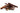 Bull Chew Sticks 15cm, Airdried beef dog chew, pet essentials warehouse