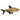Black Neon Tetra