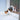 Cat Mate Cat Door For Glass, cat walking through cat mate cat door fitted on glass window, Pet City