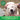 Greenies Original Dental Dog Treats feeding to a dog, Pet City, Pet city, Dog Dental treats, Dog Dental treat